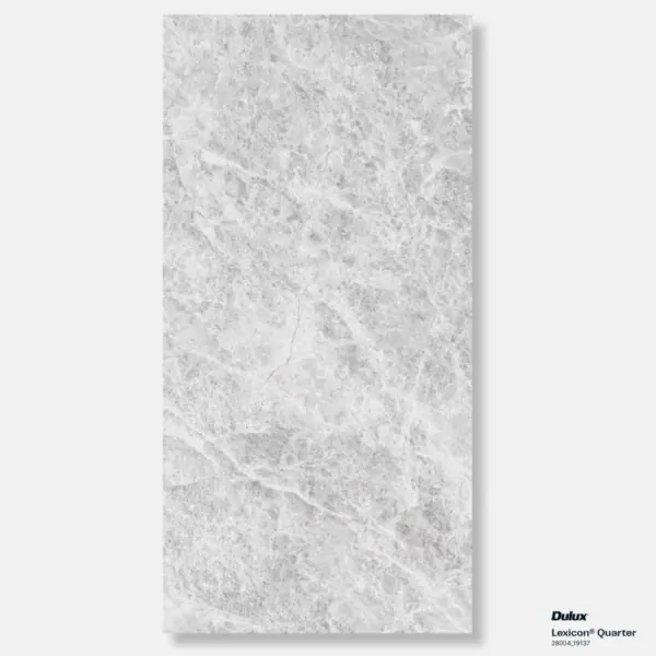 Tundra Grey Alpine 3D cheap stone look tile (7)