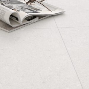 shell stone Bianco Matt 600x6000-02