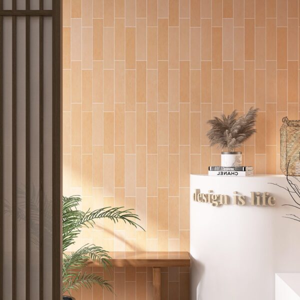 Beyond Peach Matt Subway Tile 75x300 (Code:02889)