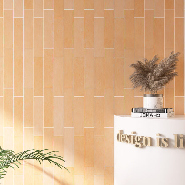 Beyond Peach Matt Subway Tile 75x300 (Code:02889)